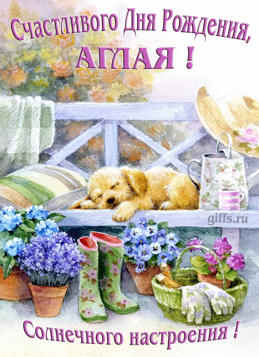 Прикольная картинка с собачкой и пожеланием Аглае счастливого дня рождения и солнечного настроения.