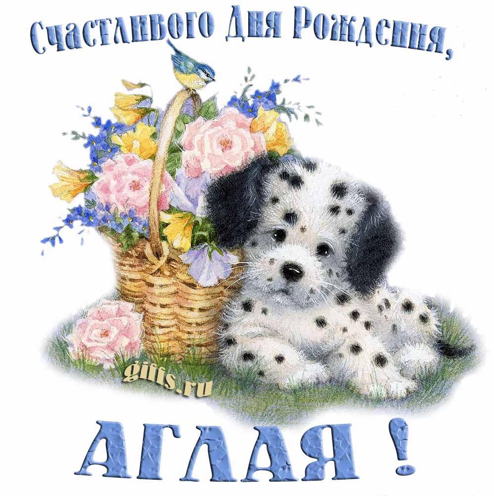 Прикольная и смешная открытка с корзиной цветов и собачкой для пожелания счастливого дня рождения Аглае.
