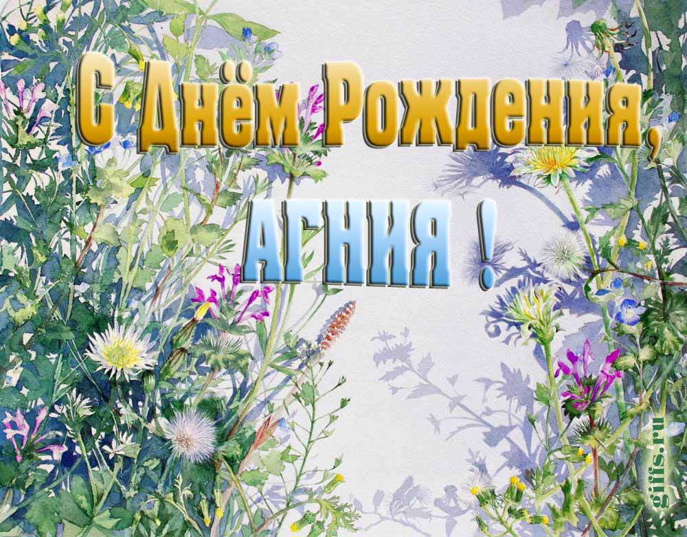 На сайте giffs.xatab.top самые красивые открытки с цветами ко дню рождения Агнии можно скачать бесплатно.