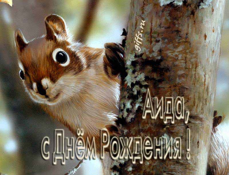 Смешная картинка с белочкой для поздравления Аиды с ДР.