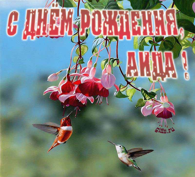Яркая летняя открытка с птичками в цветах ко дню рождения Аиды.