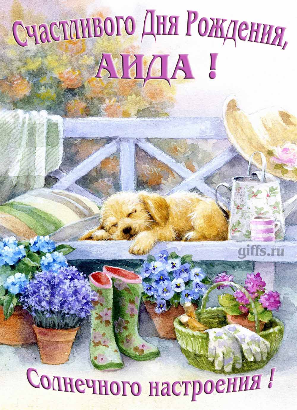 Прикольная картинка с собачкой и пожеланием Аиде счастливого дня рождения и солнечного настроения.
