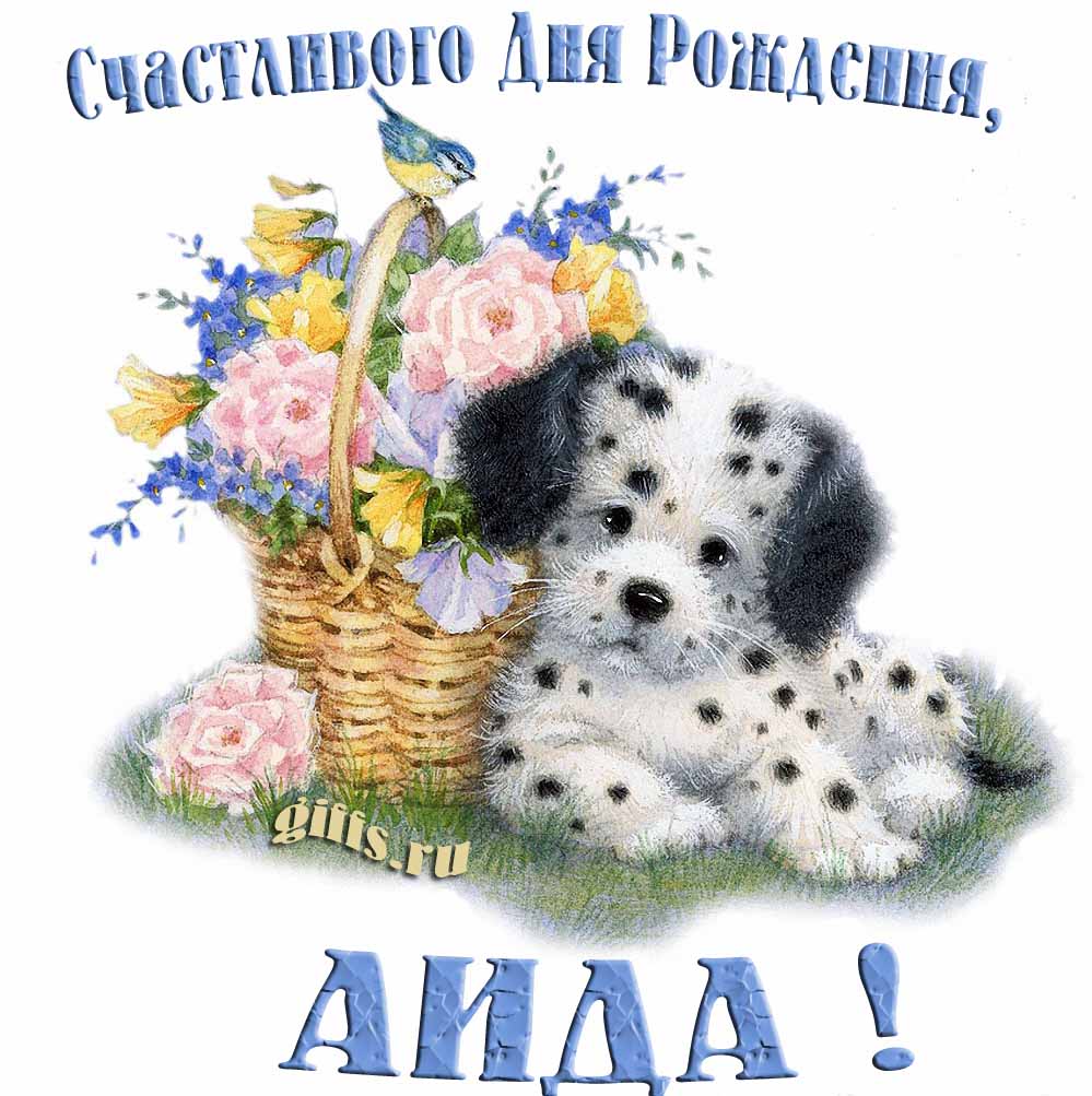 Прикольная и смешная открытка с корзиной цветов и собачкой для пожелания счастливого дня рождения Аиде.