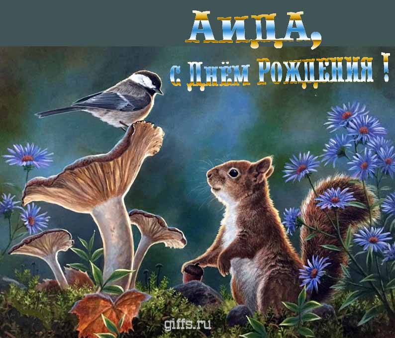 Прикольная и смешная открытка с белочкой среди грибов для поздравления Аиды с ДР.