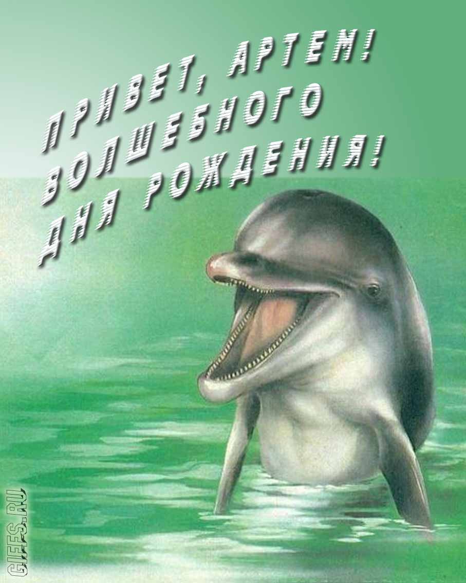 Прикольная картинка с дельфином "Привет, Артём! Волшебного дня рождения!". Прикольная картинка с дельфином "Привет, Артём! Волшебного дня рождения!".