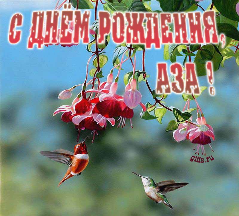 Яркая летняя открытка с птичками в цветах ко дню рождения Азы.