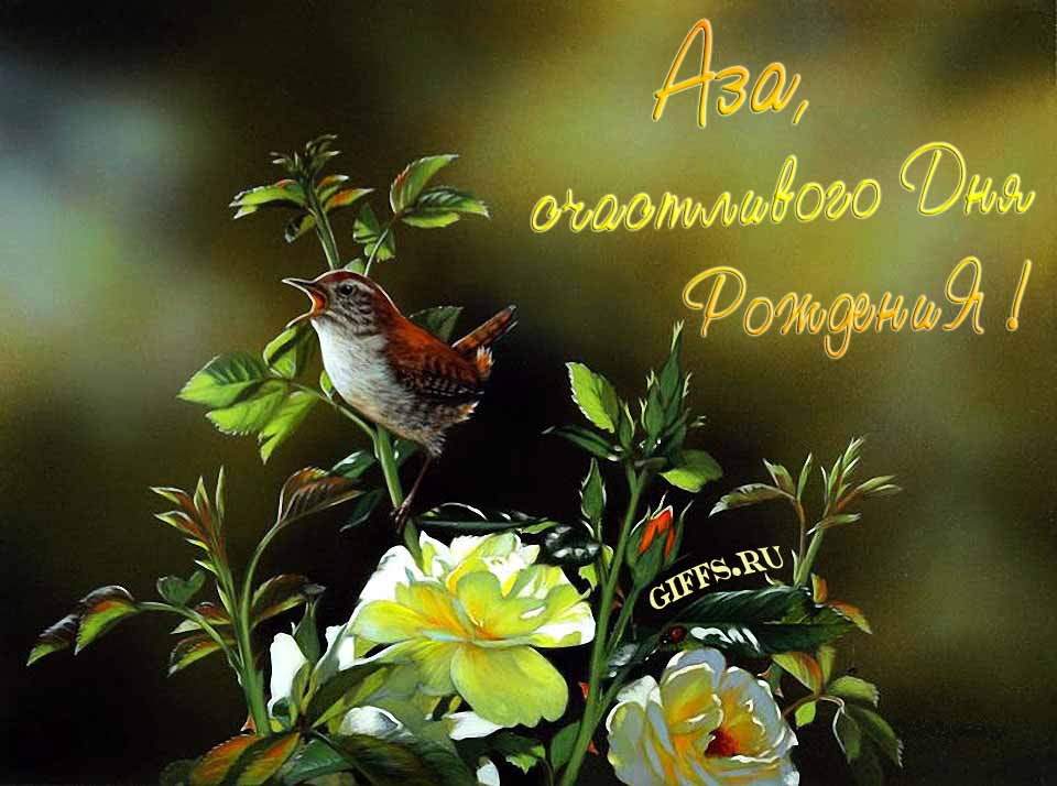 Прикольная картинка с кричащей птичкой : "Аза, счастливого дня рождения!".