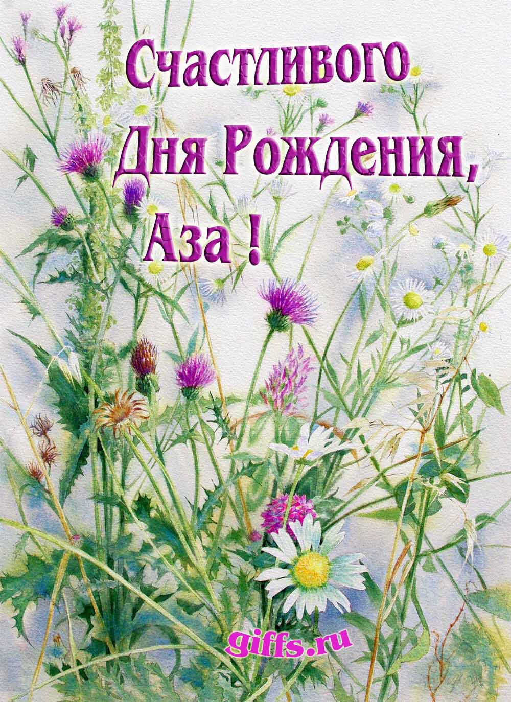 Картинка с луговыми цветами и пожеланием счастливого дня рождения девушке Азе.