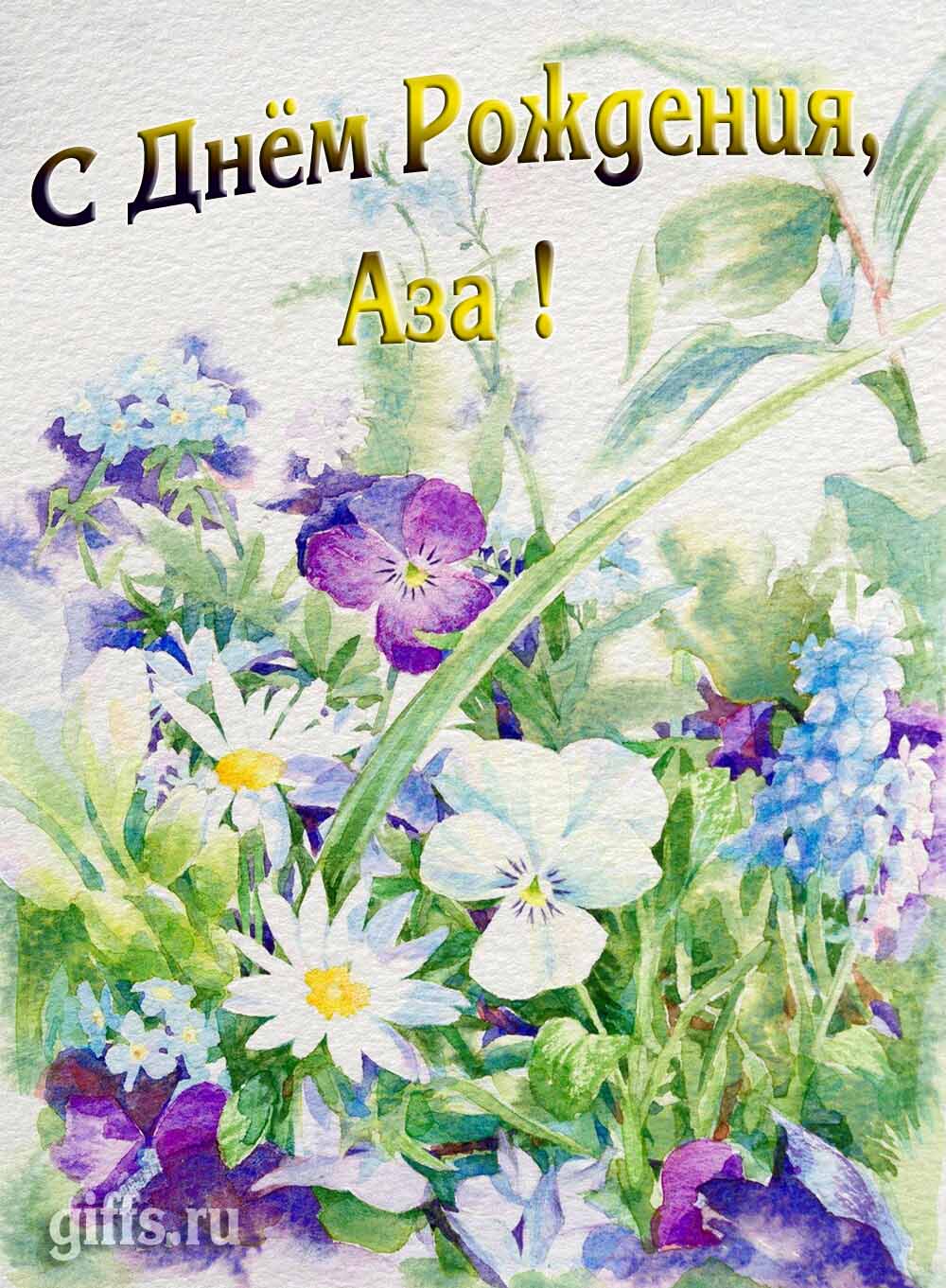 Красивая открытка с полевыми цветами для красотки Азы в день рождения.