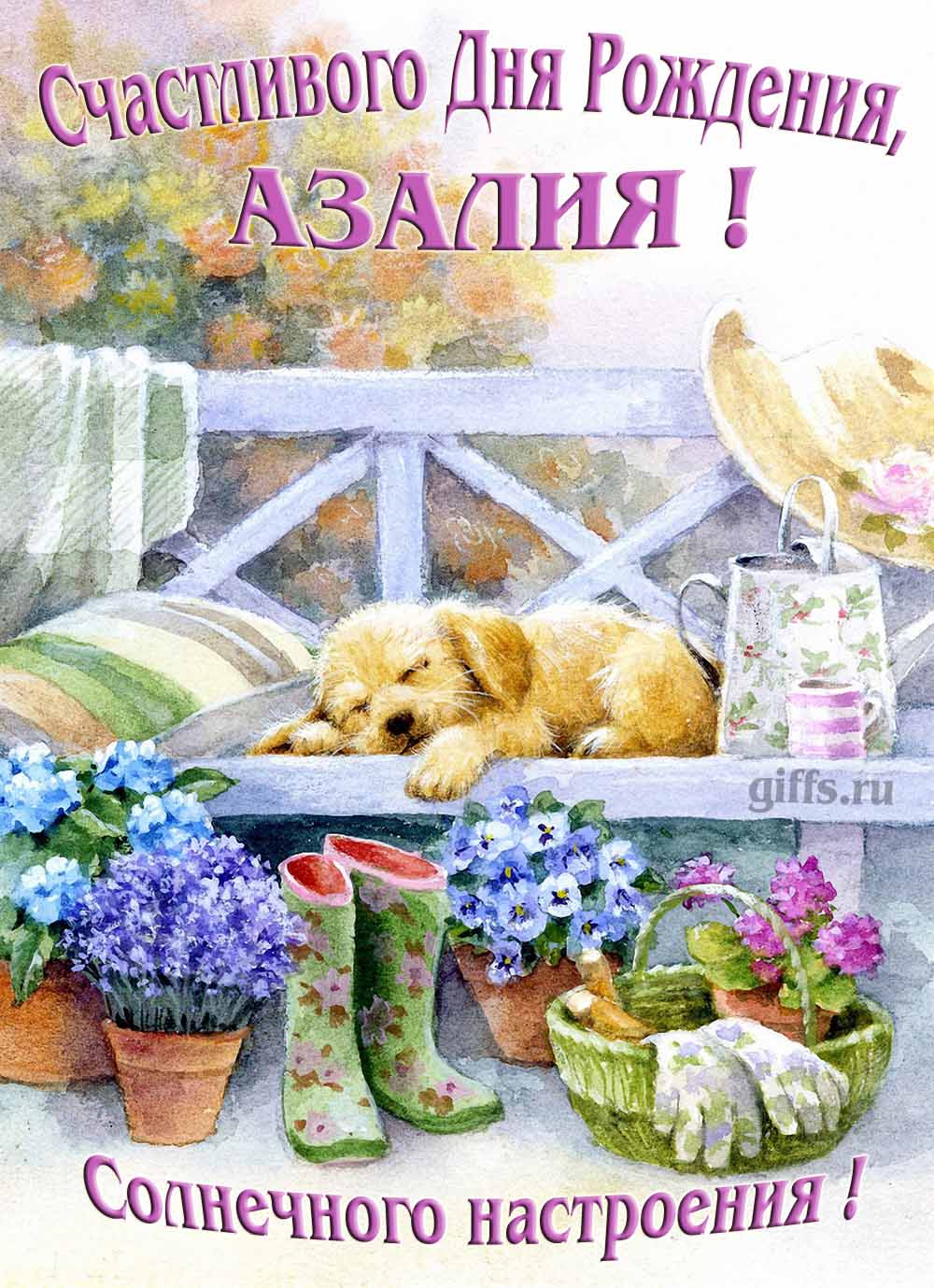 Прикольная картинка с собачкой и пожеланием Азалии счастливого дня рождения и солнечного настроения.