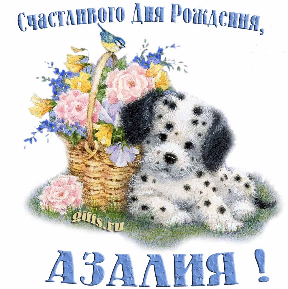 Прикольная и смешная открытка с корзиной цветов и собачкой для пожелания счастливого дня рождения Азалии.
