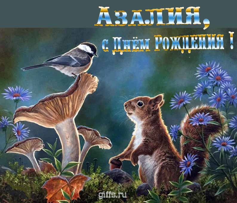 Прикольная и смешная открытка с белочкой среди грибов для поздравления Азалии с ДР.