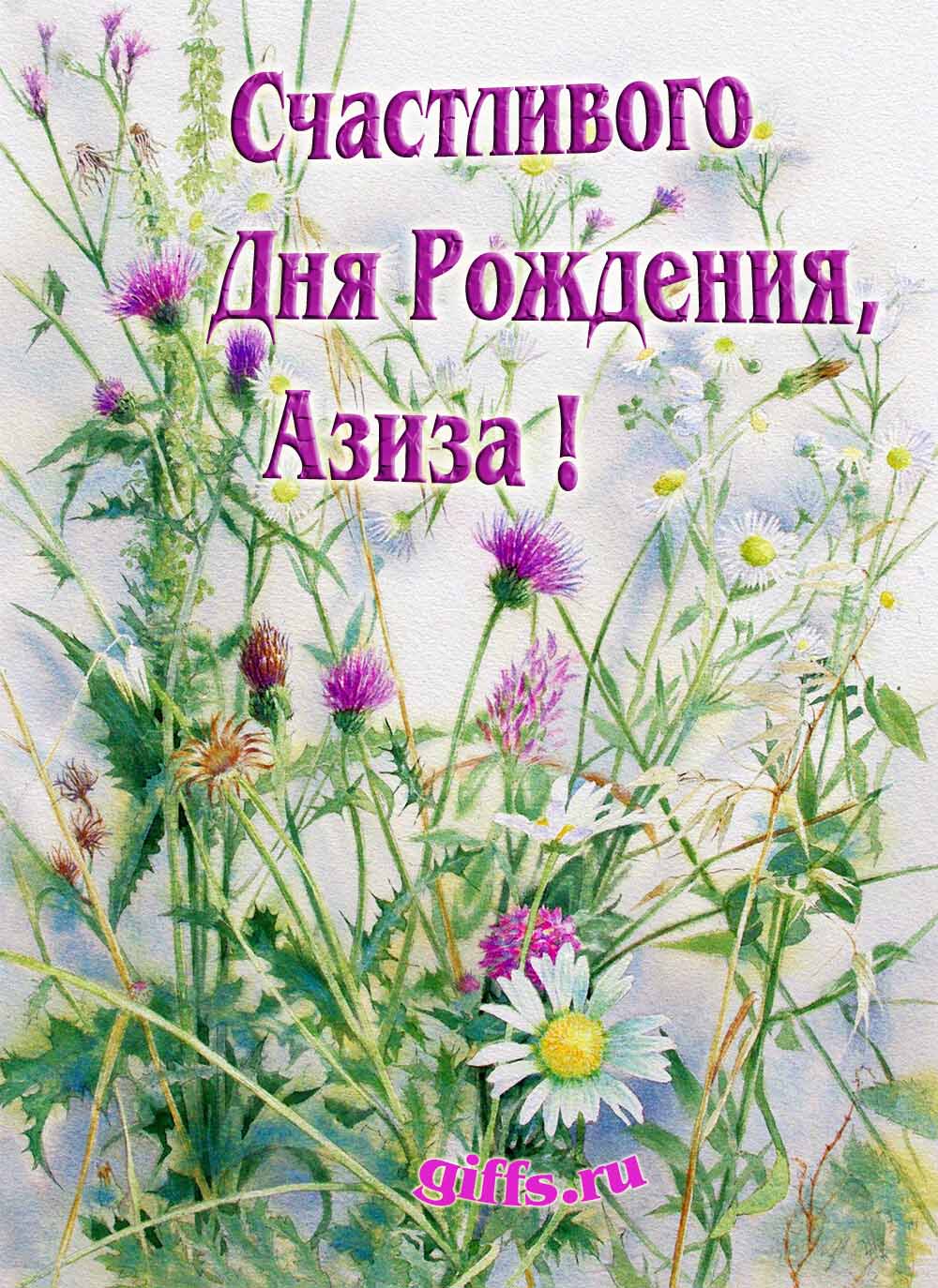 Картинка с луговыми цветами и пожеланием счастливого дня рождения девушке Азизе.