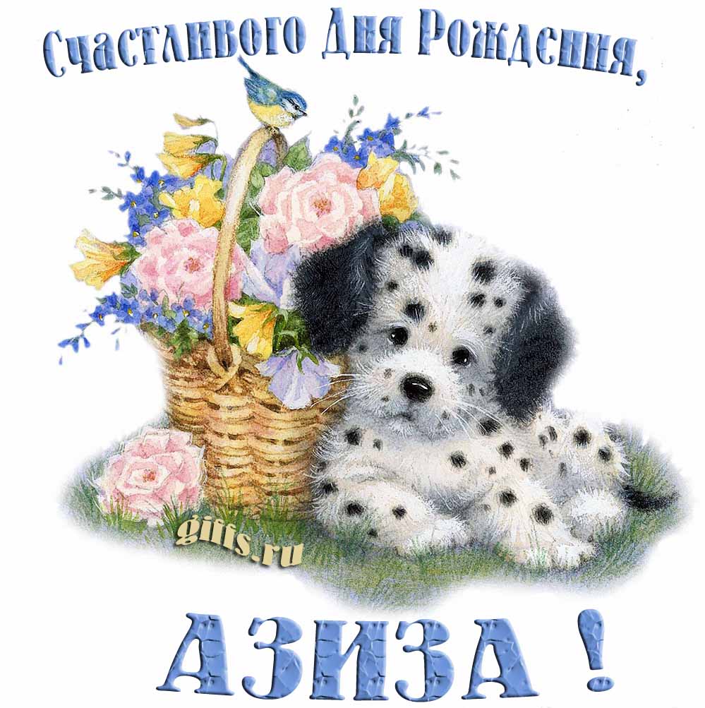 Прикольная и смешная открытка с корзиной цветов и собачкой для пожелания счастливого дня рождения Азизе.