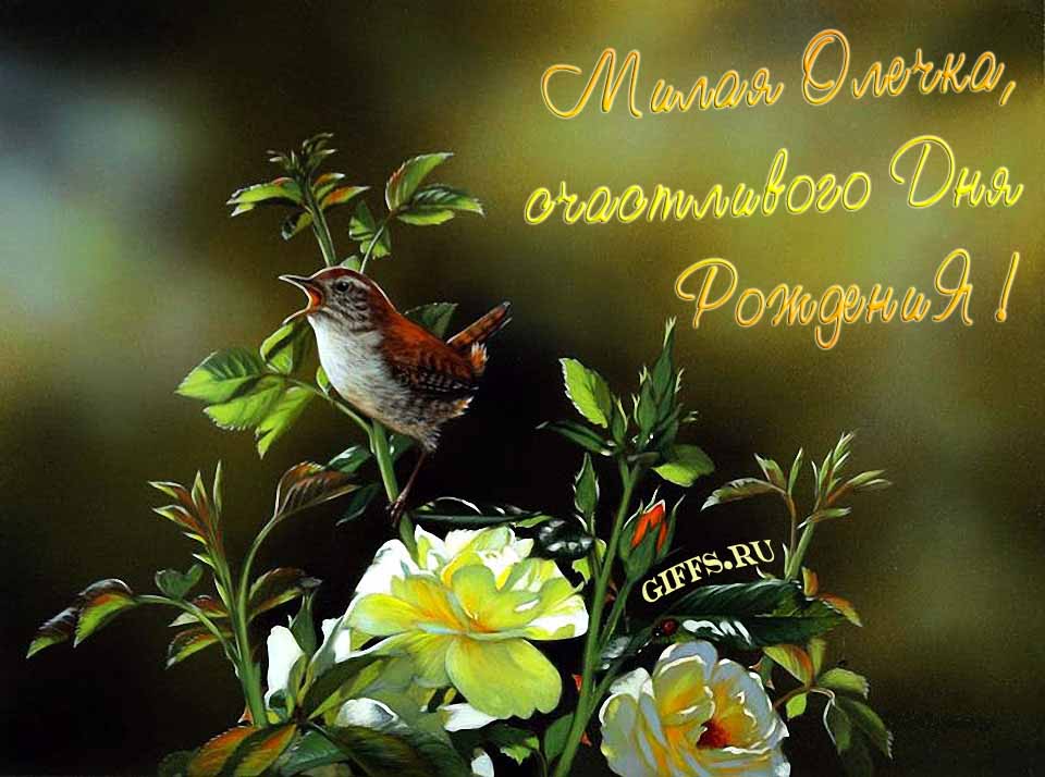 Прикольная картинка с кричащей птичкой : "Ольга, счастливого дня рождения!".