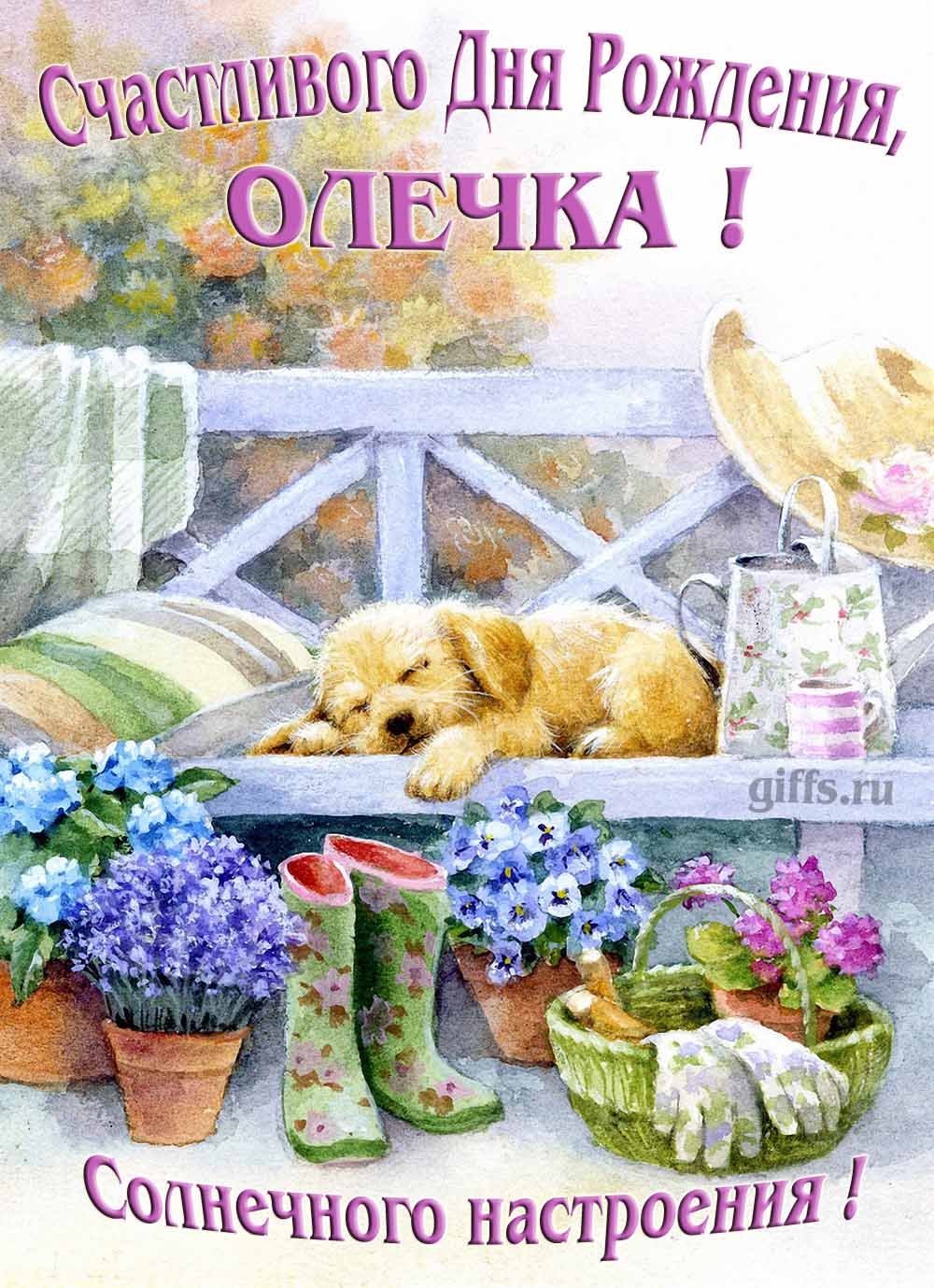 Прикольная картинка с собачкой и пожеланием Ольге счастливого дня рождения и солнечного настроения.