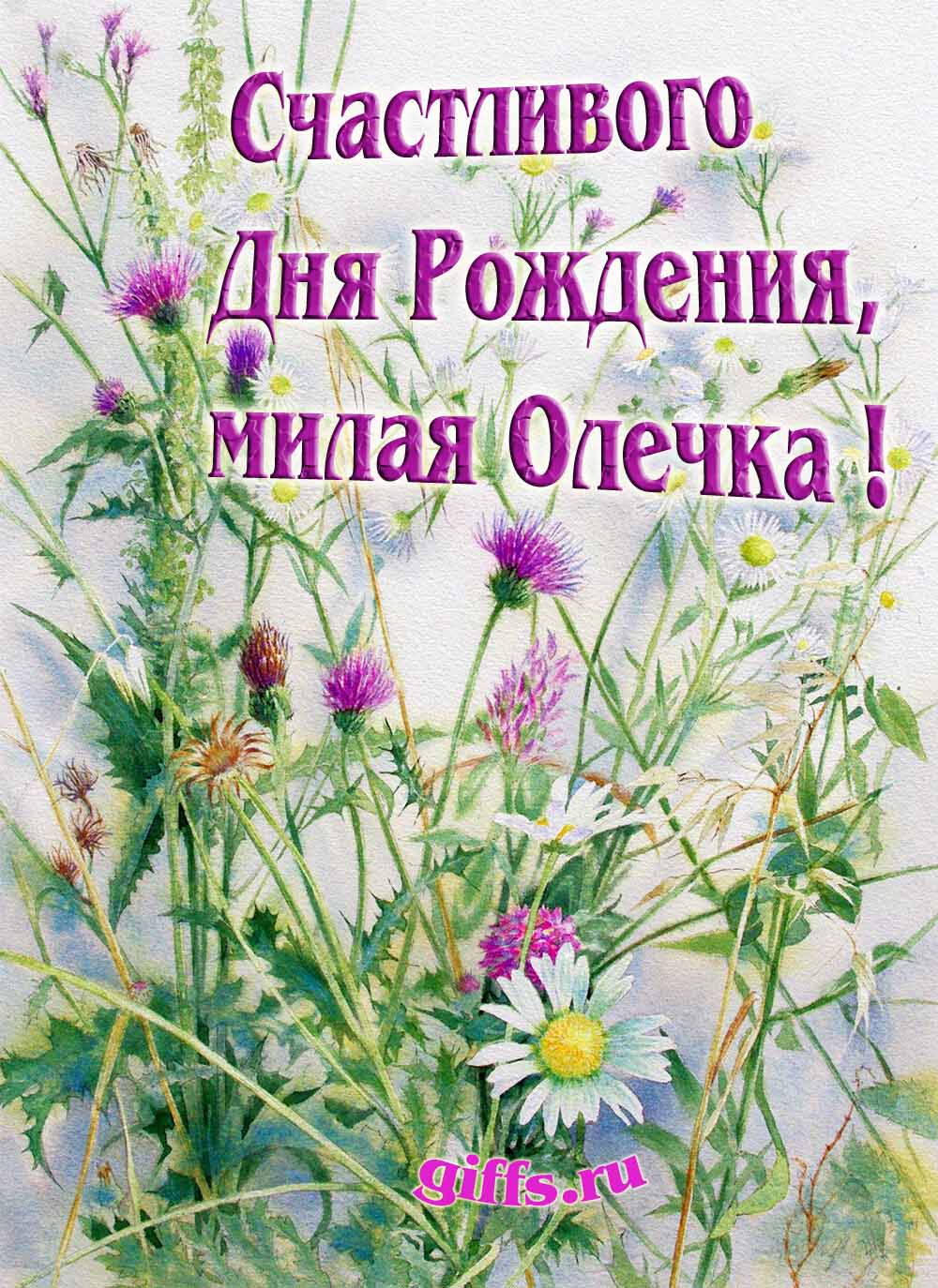 Картинка с луговыми цветами и пожеланием счастливого дня рождения девушке Ольге.