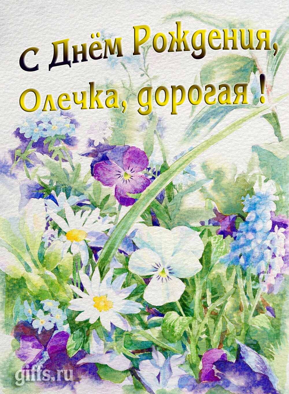 Красивая открытка с полевыми цветами для красотки Ольги в день рождения.