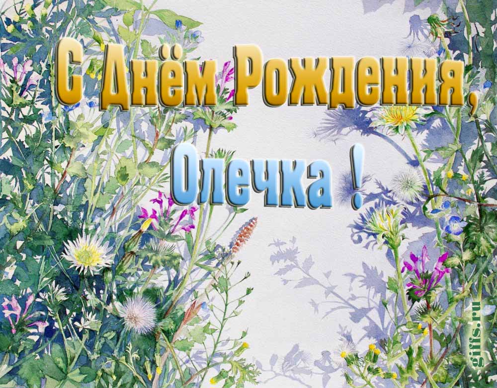 На сайте giffs.xatab.top самые красивые открытки с цветами ко дню рождения Ольги можно скачать бесплатно.
