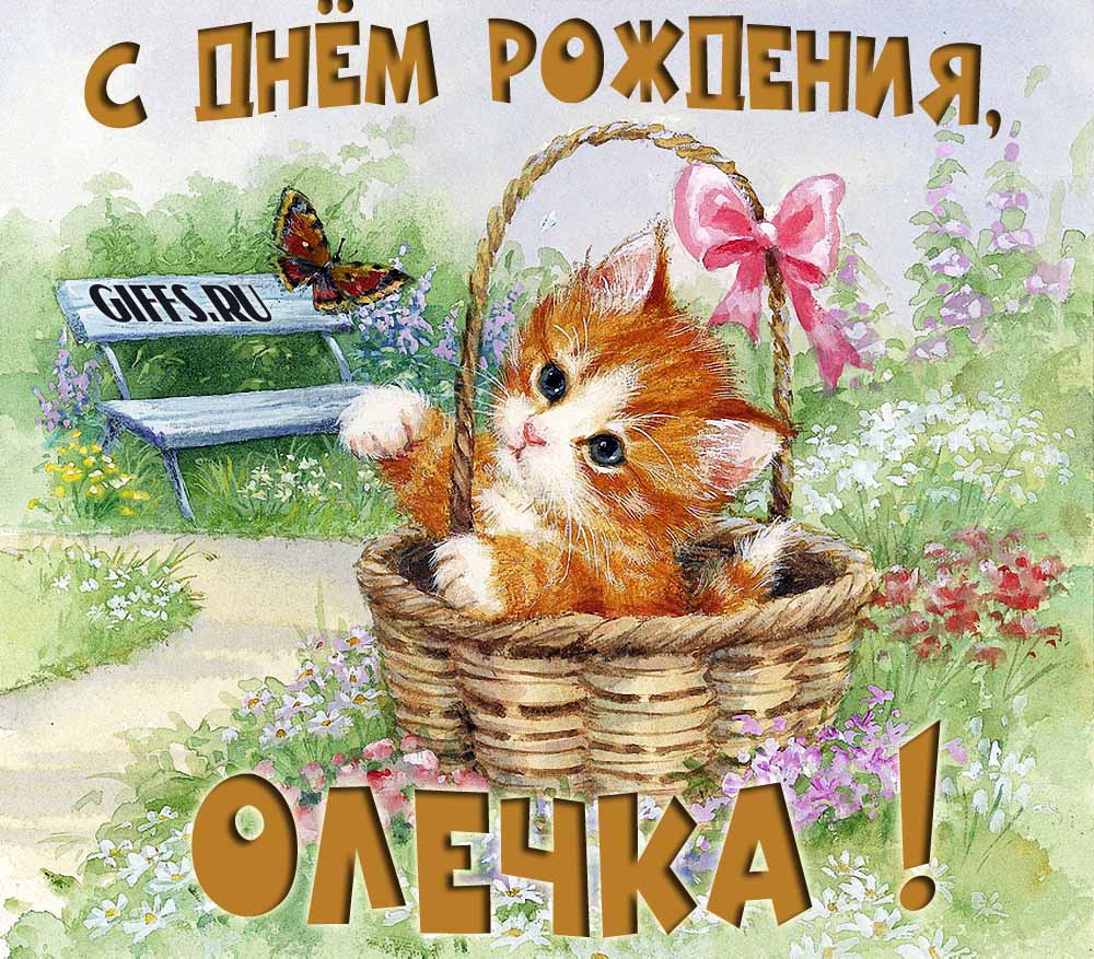 Милая летняя открытка с рыжим котёнком и поздравлением в день рождения для Ольги.