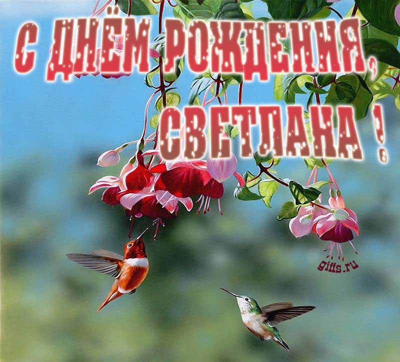Яркая летняя открытка с птичками в цветах ко дню рождения Светланы.