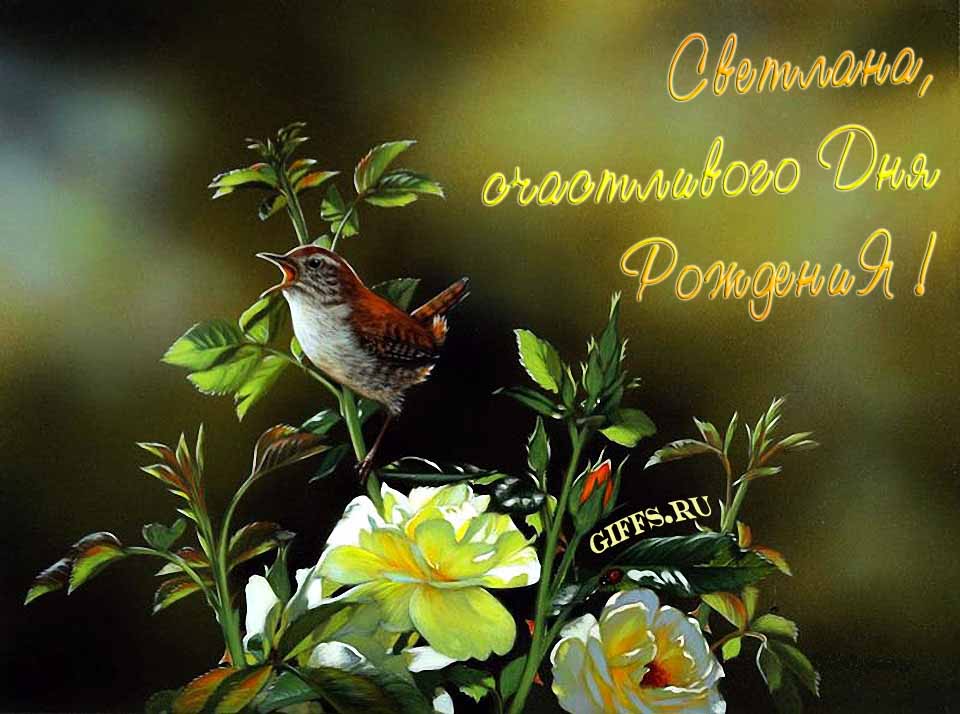 Прикольная картинка с кричащей птичкой : "Светлана, счастливого дня рождения!".