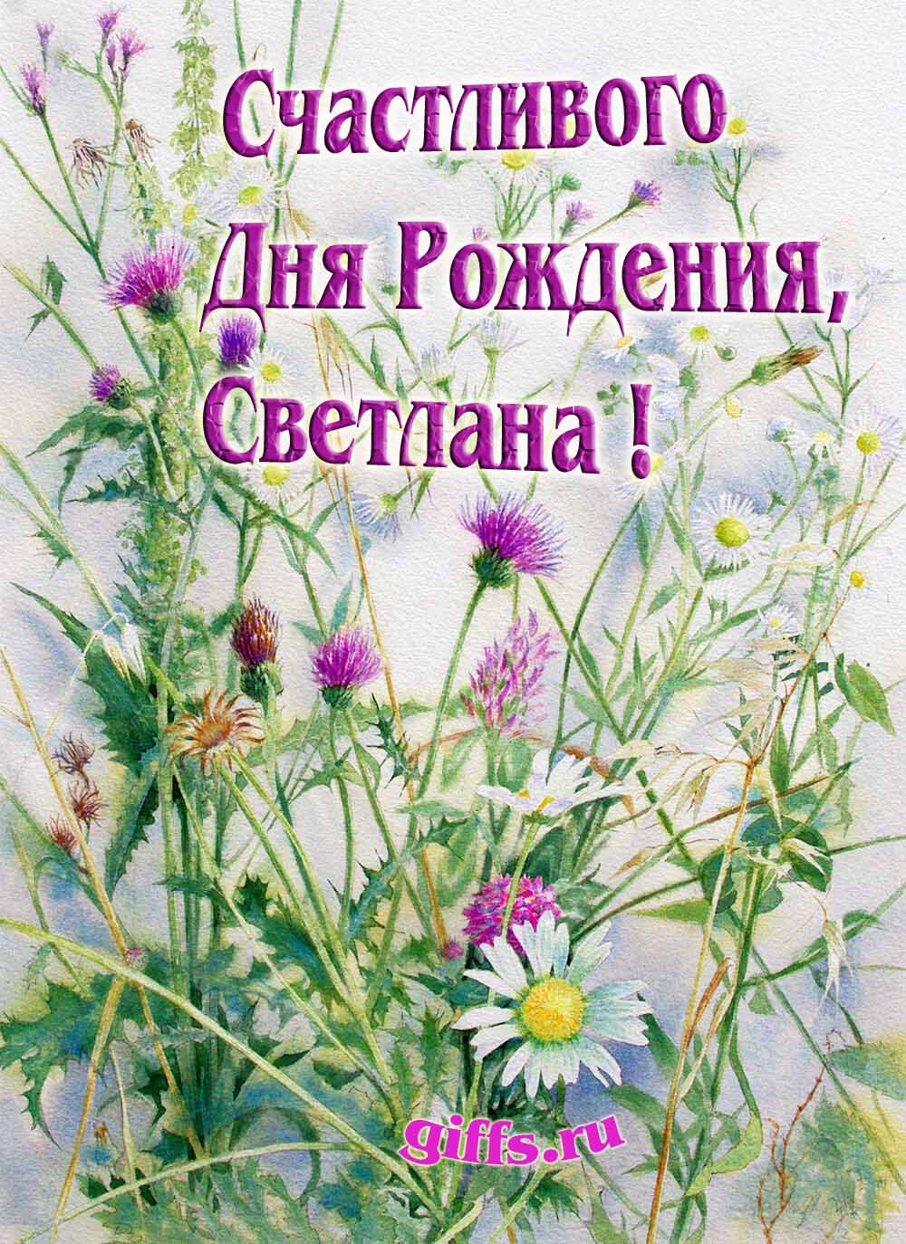 Картинка с луговыми цветами и пожеланием счастливого дня рождения девушке Светлане.