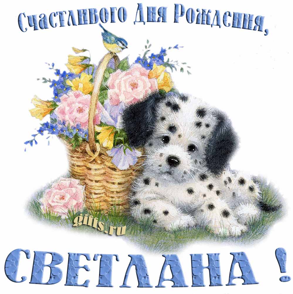 Прикольная и смешная открытка с корзиной цветов и собачкой для пожелания счастливого дня рождения Светлане.