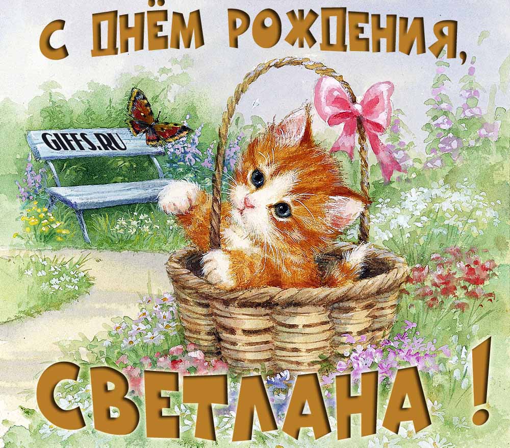 Милая летняя открытка с рыжим котёнком и поздравлением в день рождения для Светланы.