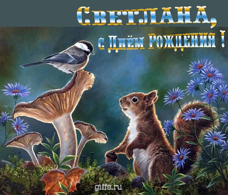 Прикольная и смешная открытка с белочкой среди грибов для поздравления Светланы с ДР.