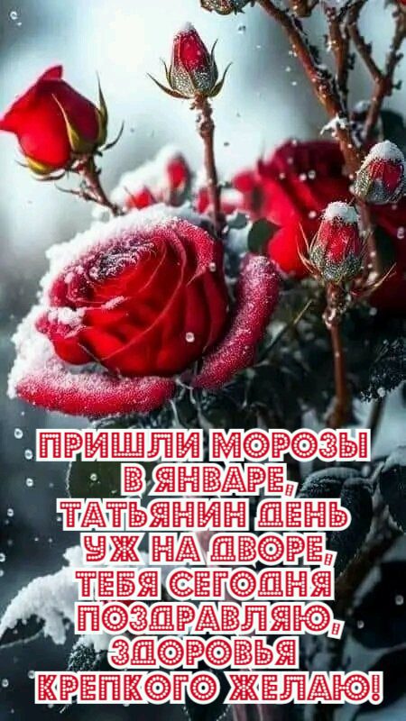 Зимняя открытка с красными розами и надписью "Пришли морозы в Январе, Татьянин день уж на дворе, тебя сегодня поздравляю, здоровья крепкого желаю!" С наступающим! Зимняя открытка с красными розами и надписью "Пришли морозы в Январе, Татьянин день уж на дворе, тебя сегодня поздравляю, здоровья крепкого желаю!" С наступающим!